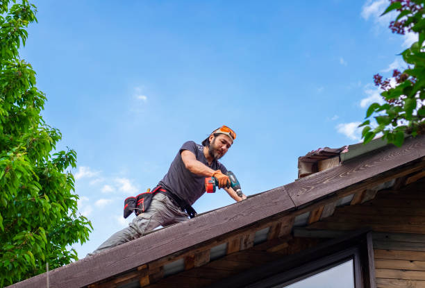 Roof Insulation Installation in Erwin, TN