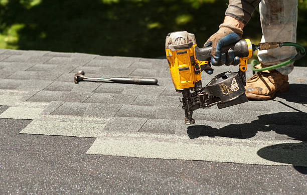 Roof Moss and Algae Removal in Erwin, TN